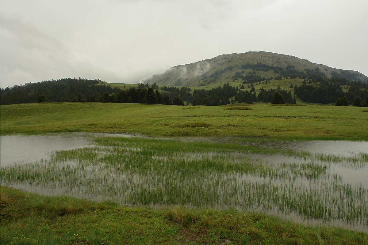 Εποχικό λιμνίο την Οίτη. (Φωτο: Γιώργος Καρέτσος)