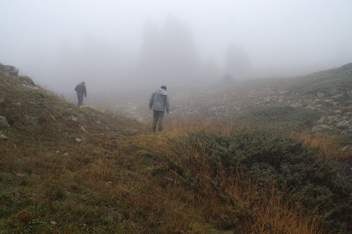 Εργασία πεδίου στα ορεινά λιβάδια της Οίτης. (Φωτο: Eugene Shogolev)