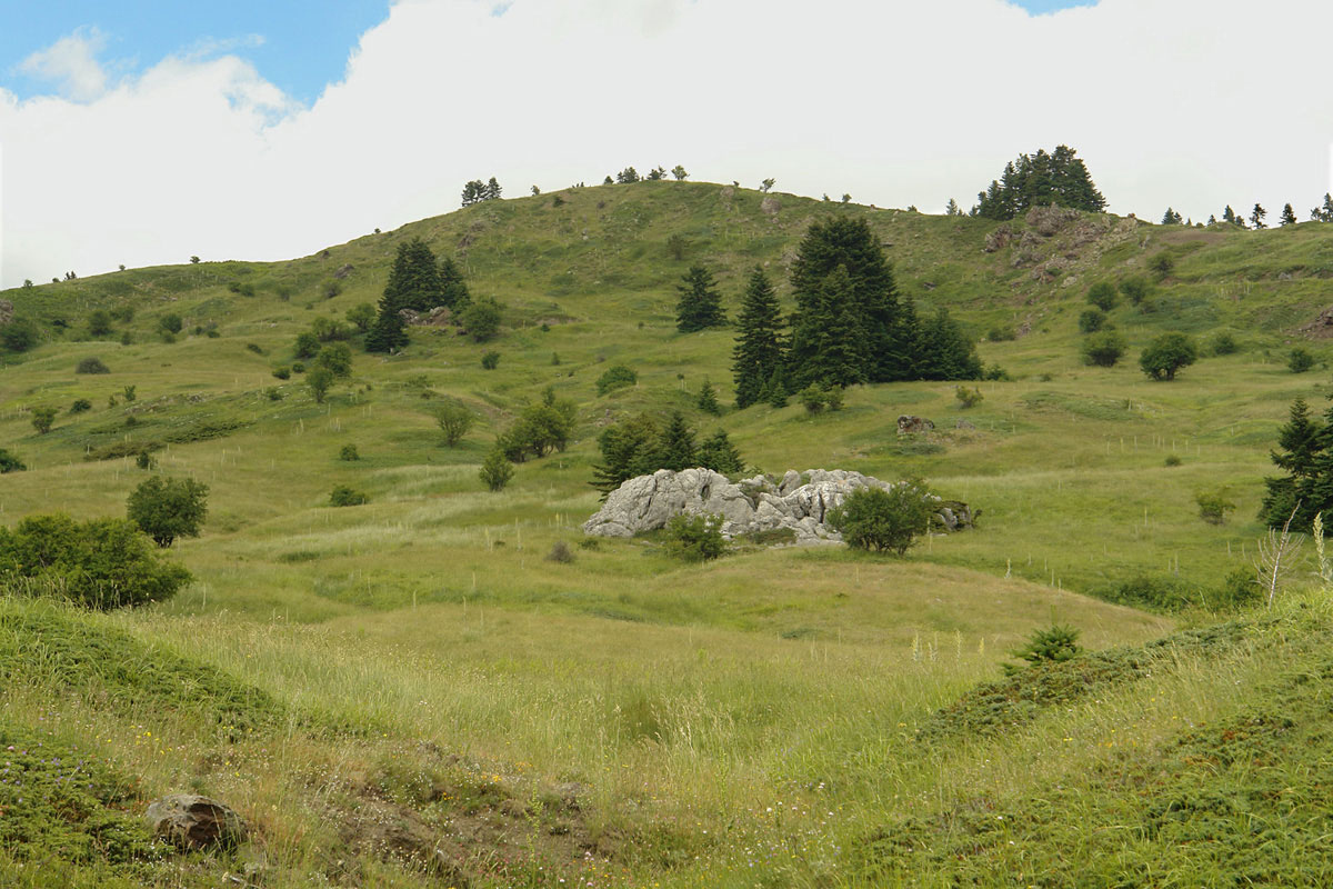 Mountain grasslands on Mt. Oiti. (Photo: G. Karetsos)