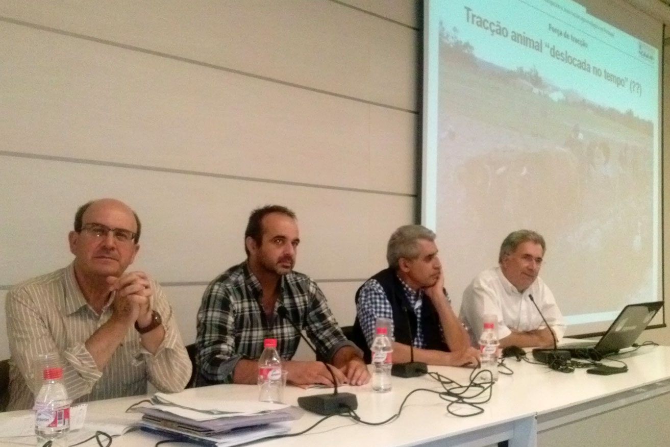 Presentation of the project in a symposium organized in Valencia, Spain (Photo: Santiago Algora)  