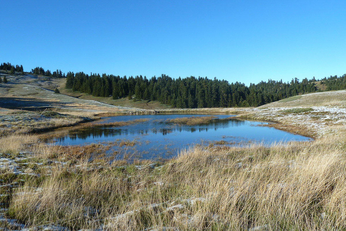  A temporary pond on Mt. Oiti. Photo Ch. Georgiadis