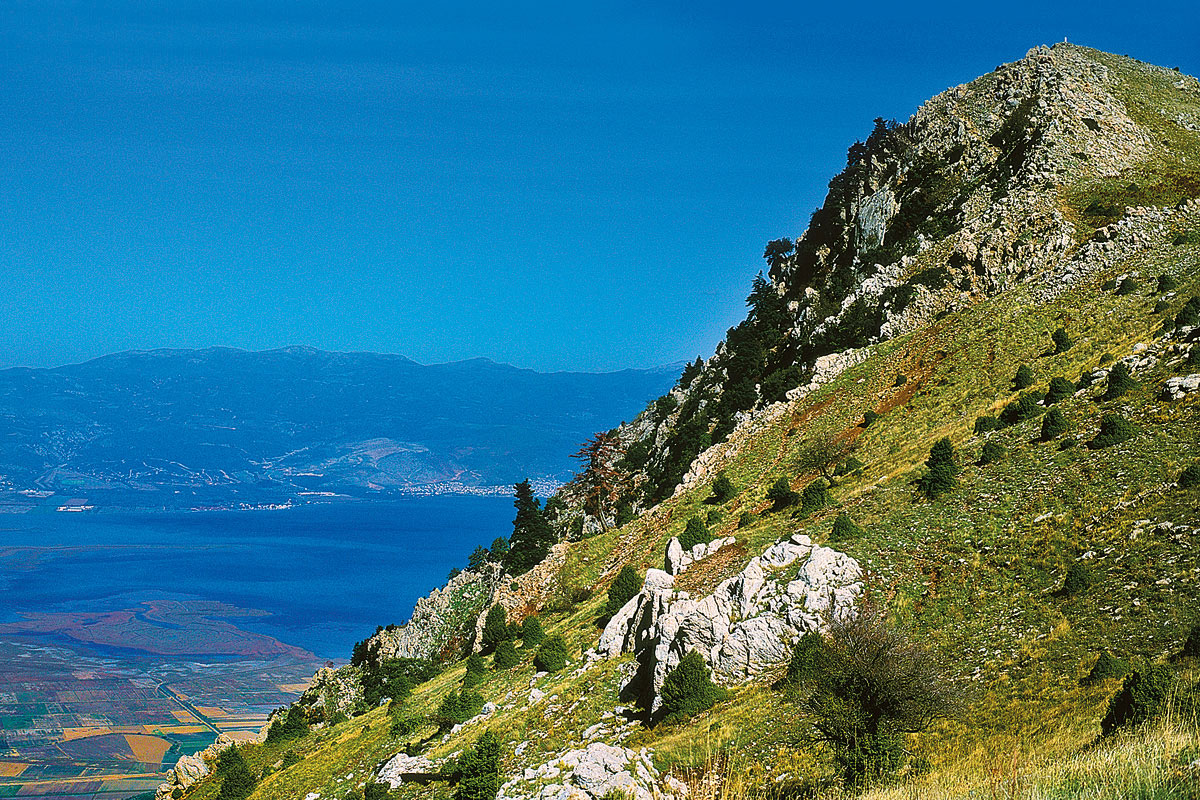 The view from Elafovouni Peak on Mt. Kallidromo, across the plain of Lamia and the Malliakos Gulf (Photo: G. Politis)