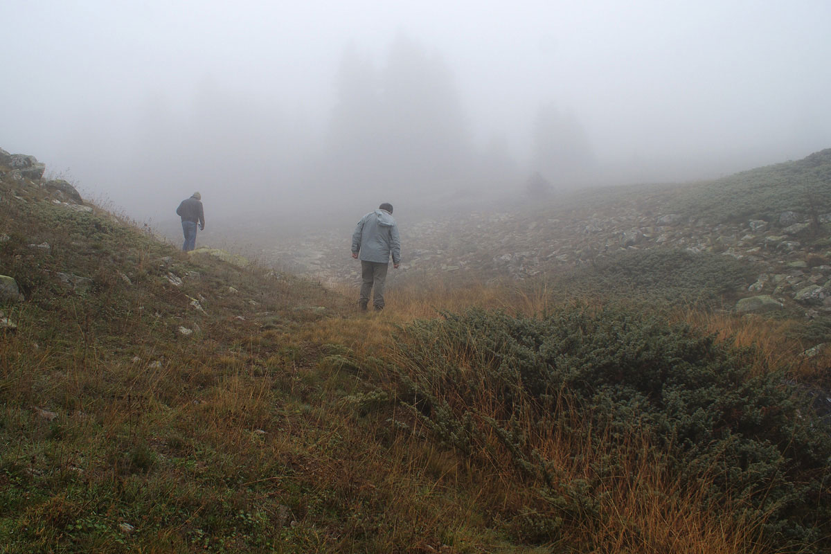 Field work in the grasslands on Mt. Oiti (Photo:Eugene Shogolev)