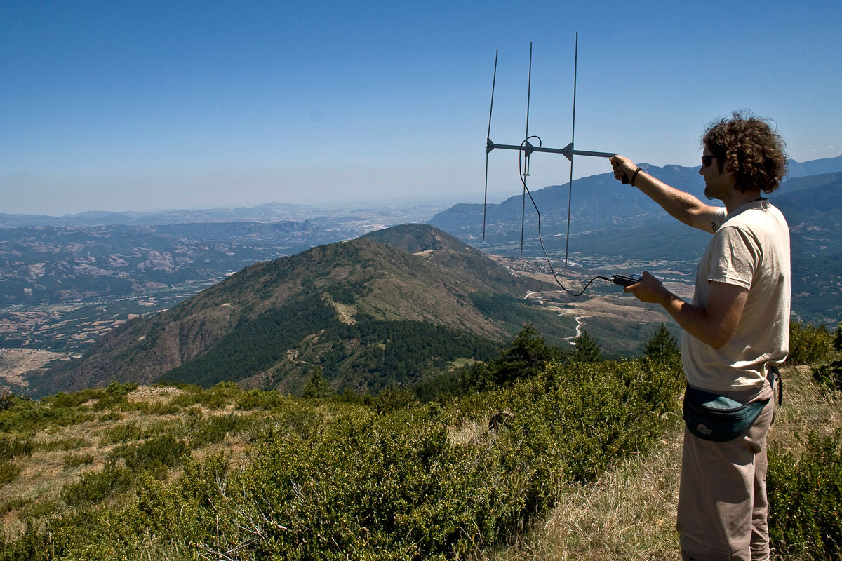 Monitoring the movements of animals with radio transmitters (Photo: A. Karamanlidis/ARCTUROS)