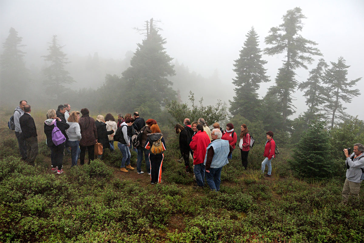 Field excursion during the seminar (Photo: Christos Georgiadis).
