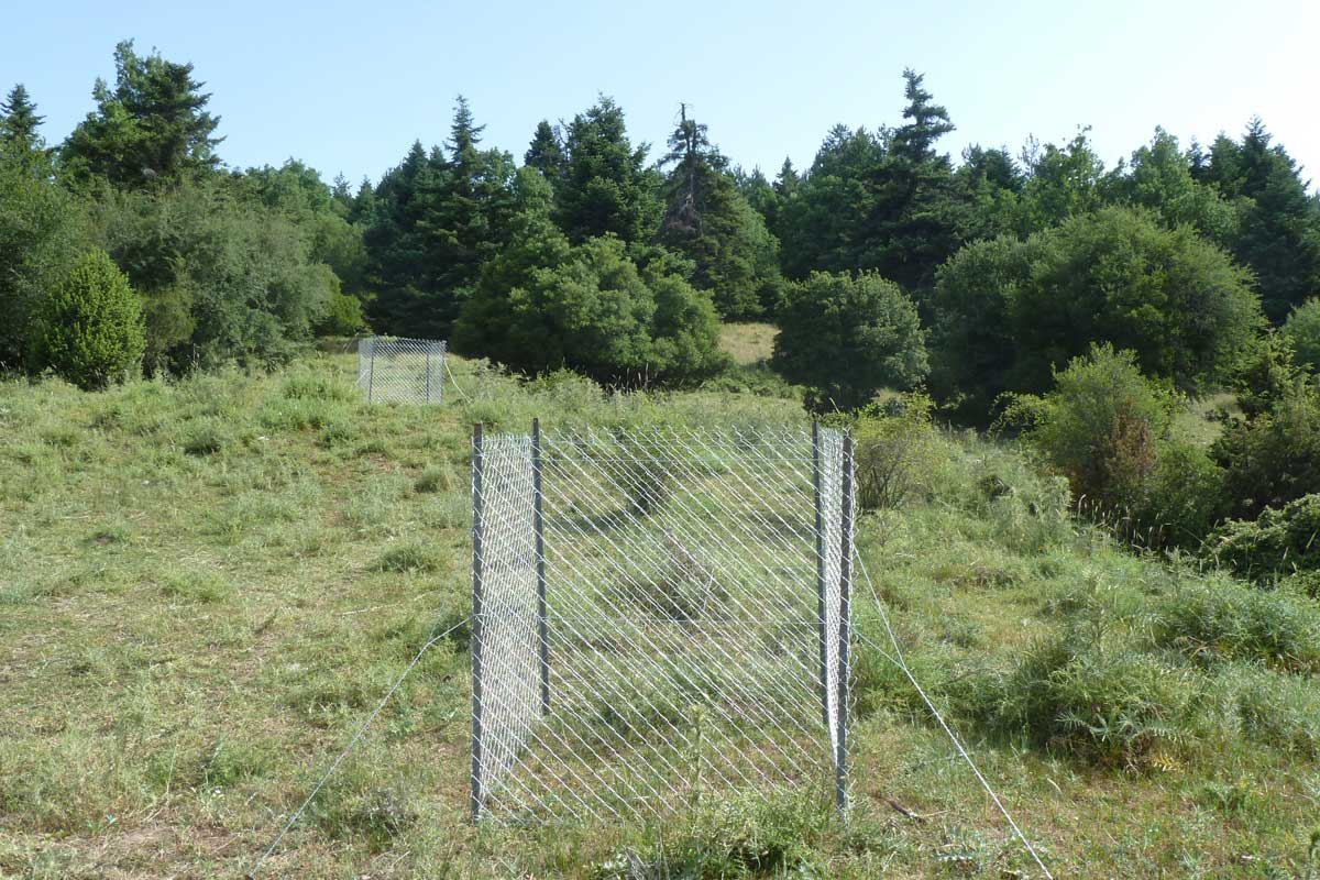 Grazing cages were placed in Mts. Oiti and Kallidromo (Photo: Christos Georgiadis) 
