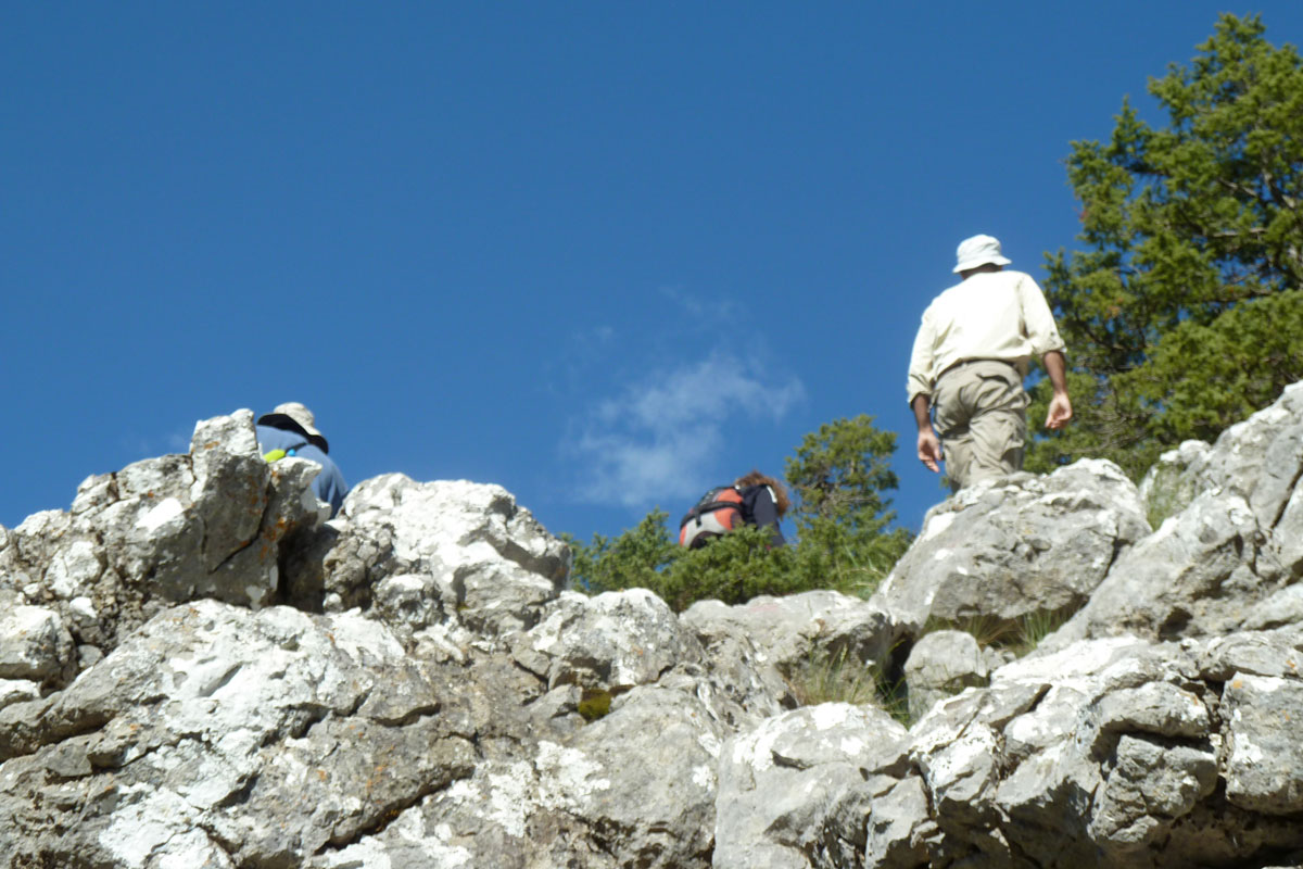  Studying the priority habitat with Juniperus foetidissima on Mt. Oiti   (Photo: Christos Georgiadis) 