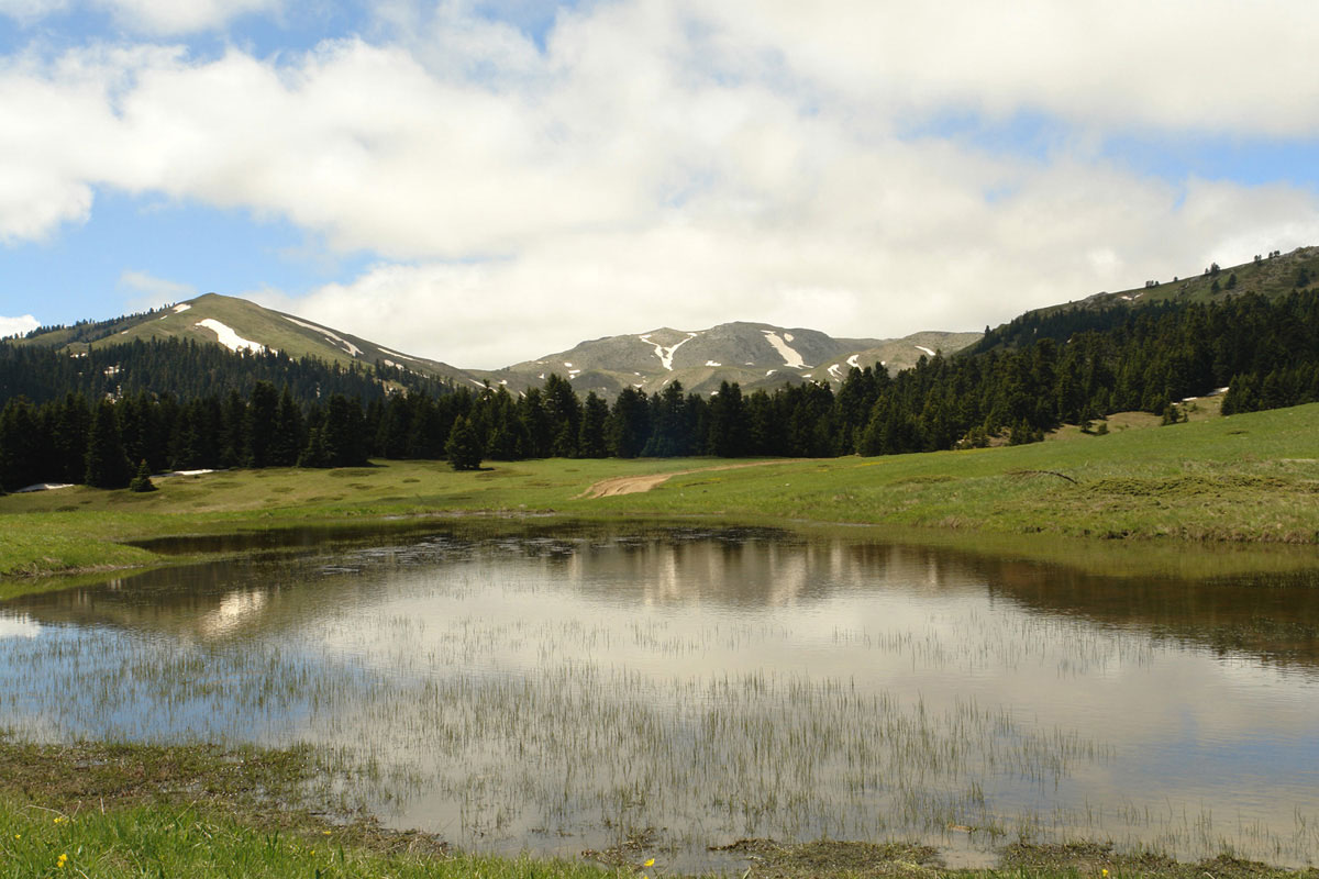 A temporary pond on Mt. Oiti. (Photo: G. Karetsos)