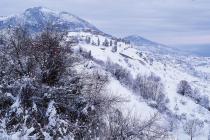 Καλλίδρομο: Ο λόφος του κάστρου της Μενδενίτσας με την κορυφή Ελαφοβούνι στο βάθος. (Φωτο: Γιώργος Πολίτης) 