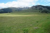 Mountain grassland on Mt. Oiti (Photo: G. Karetsos)