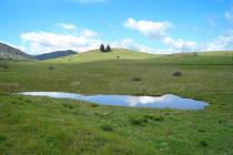 Temporary pond on Mt. Oiti. (Photo: G. Karetsos)
